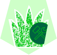 Weed Control for Sports Pitches: Prevention & Management Guide