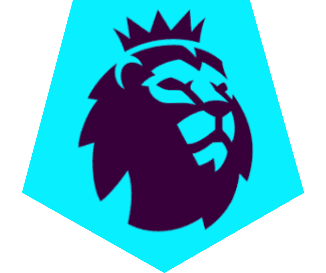 Premier League Stadium Fund icon